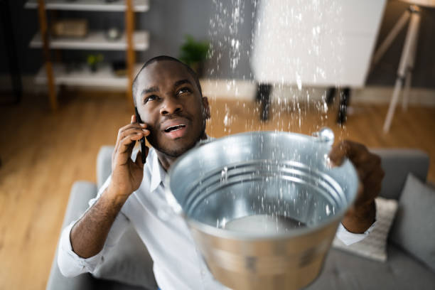 Best Water damage restoration near me  in Lake Lorelei, OH