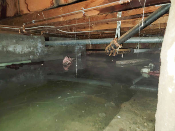 Best 24-hour water damage restoration  in Lake Lorelei, OH