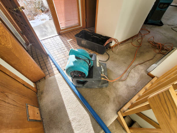Best Flooded house restoration  in Lake Lorelei, OH