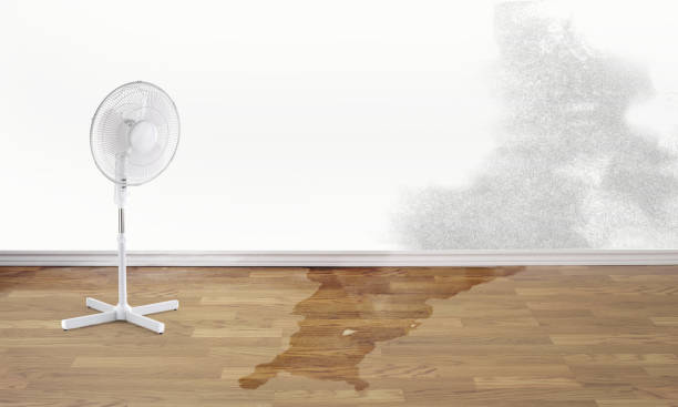 Best Flooded house restoration  in Lake Lorelei, OH
